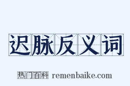 迟脉反义词是什么意思的图片